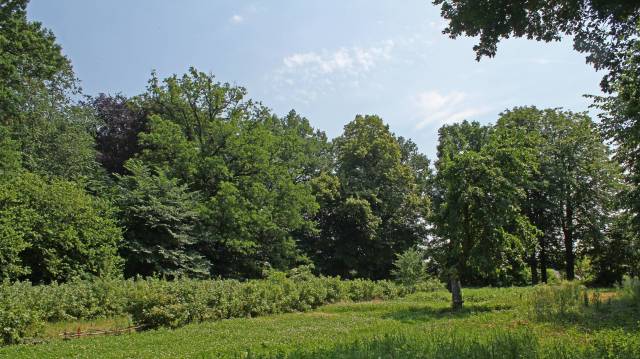 Dwór i park dworski