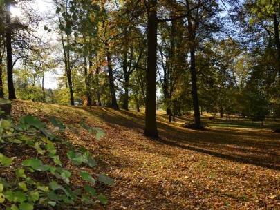 Park Miejski im. Stanisławy Siarkiewicz w Gryfinie