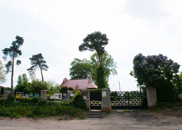 Cmentarz przykościelny