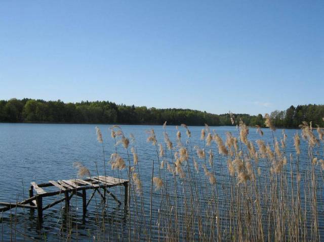 Jezioro Dąbie (Dubie, Dzicza, Dypa, Dupka) gm. Człopa