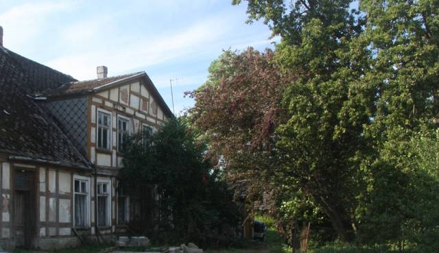 Park dworski i dwór