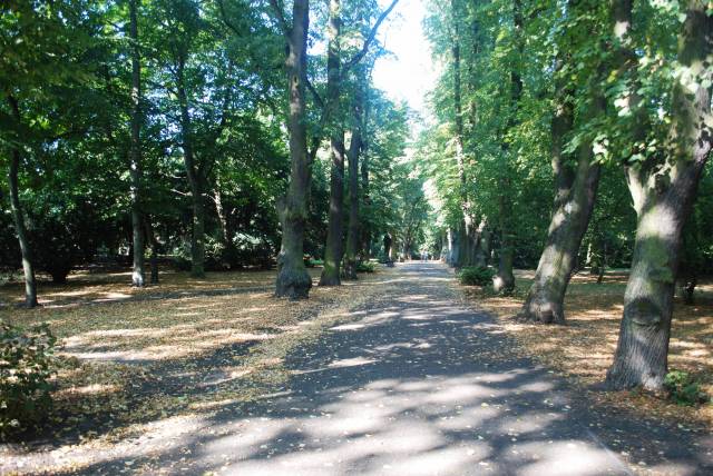 Pommerscher Park. General Dowbór-Muśnickiego