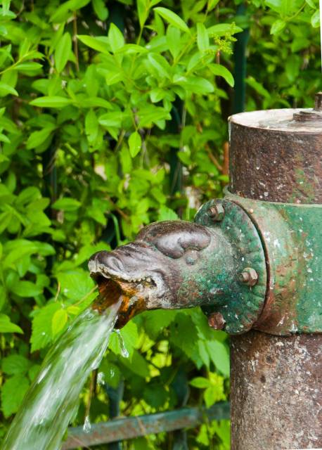 Zabytkowe źródełka wód artezyjskich