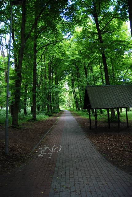 Park im. Ignacego Jana Paderewskiego w Goleniowie