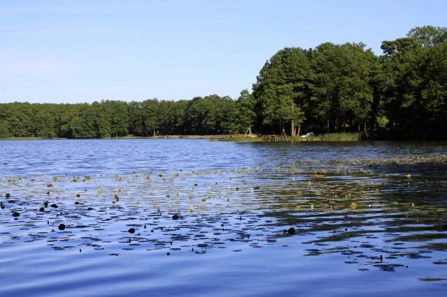 Jezioro Myśliborskie Małe