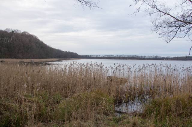 Der Przybiernowskie-See