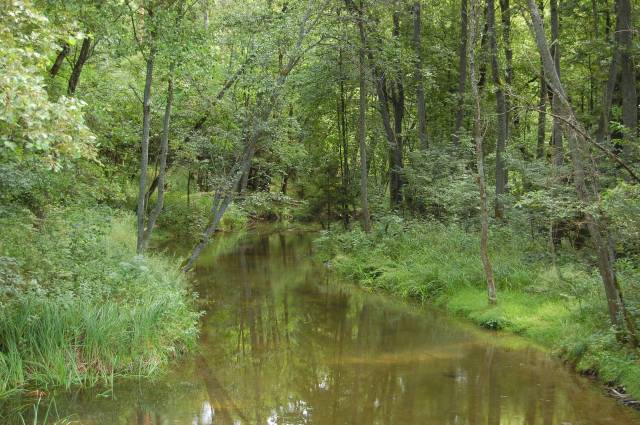 Drawica (Mąkowarka)