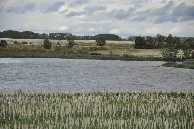 Jezioro Bylice Małe gm. Przelewice