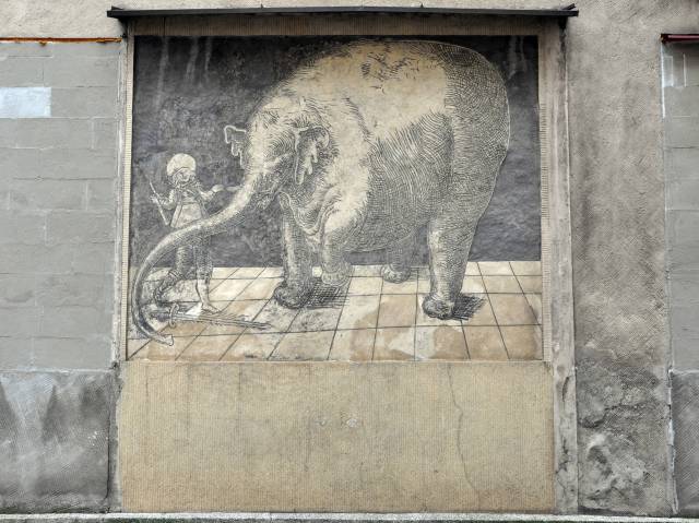 Sgraffito słonicy Hansken na elewacji kamienicy