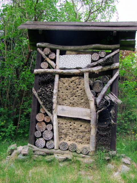 Leśny Punkt Edukacyjny Nadleśnictwa Człopa