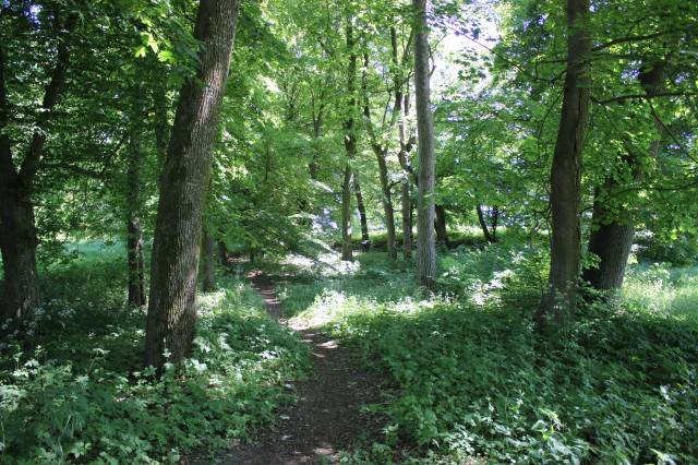 Cmentarz ewangelicki