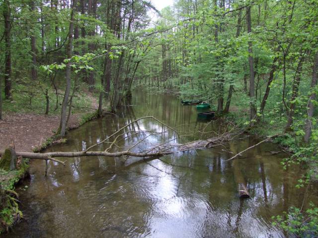 Rurzyca prawy dopływ Gwdy