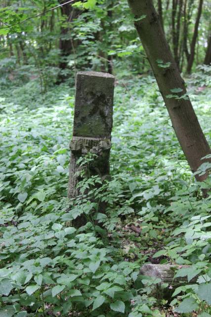 Cmentarz przykościelny