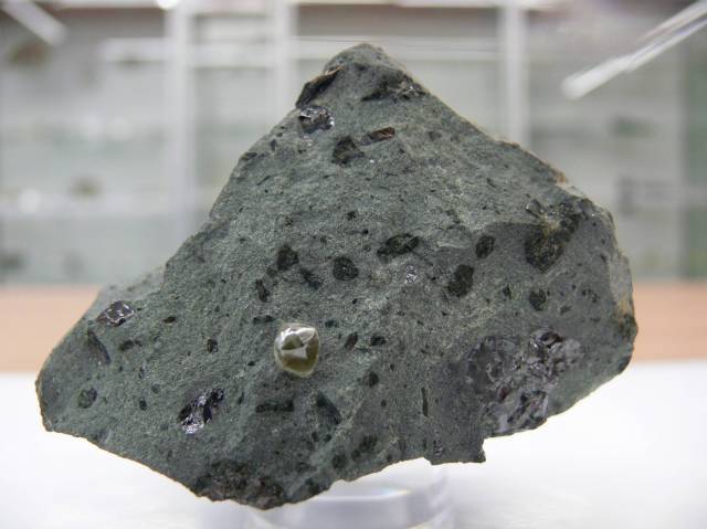 Geologisches Museum der Fakultät für Geowissenschaften, Stettiner Universität in Szczecin