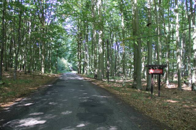 Rezerwat przyrody Trawiasta Buczyna im. prof. Stefana Kownasa