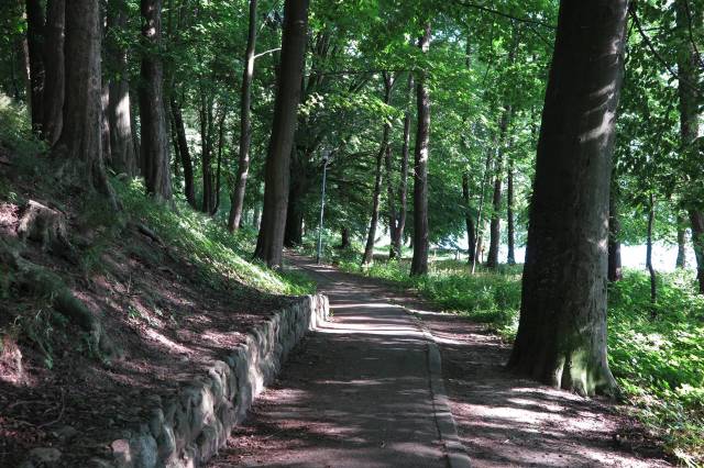 Park nad jeziorem Drawsko