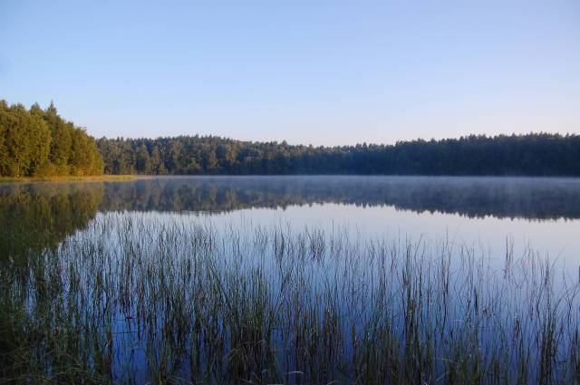 Rezerwat Jezioro Czarnówek