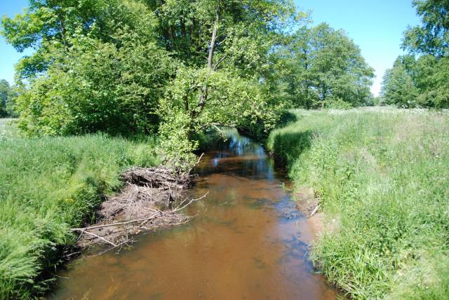 Przełom Rzeki Wołczenicy