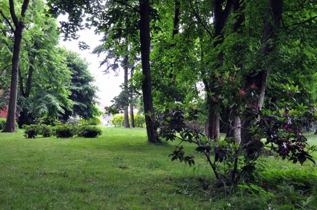 Park przy kościele pw. Miłosierdzia Bożego