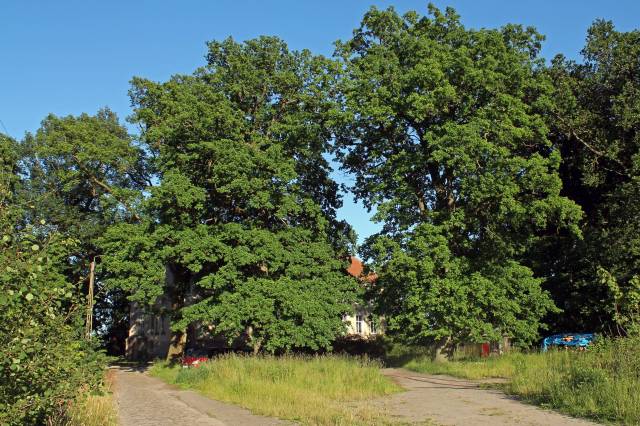 Pałac i park przypałacowy