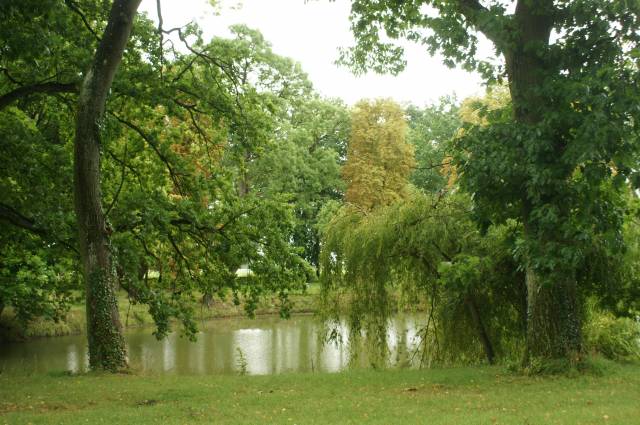 Park dworski w Batowie