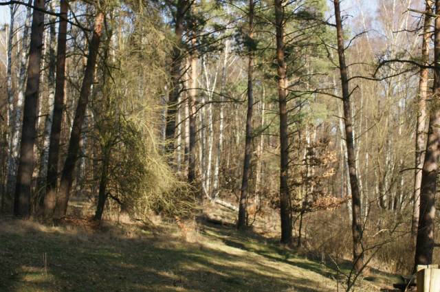 Obszar Chronionego Krajobrazu D (Choszczno-Drawno)