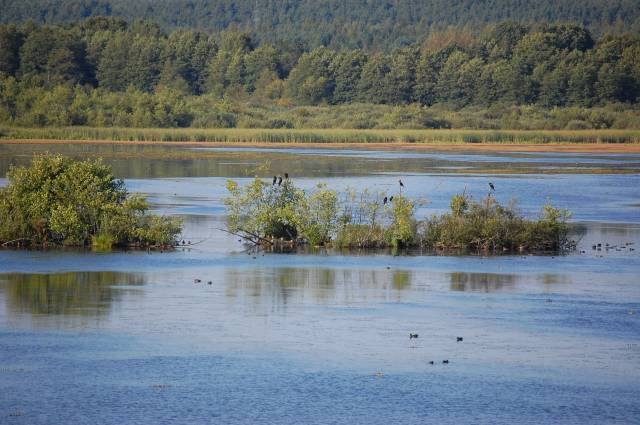 Rezerwat Jezioro Prosino