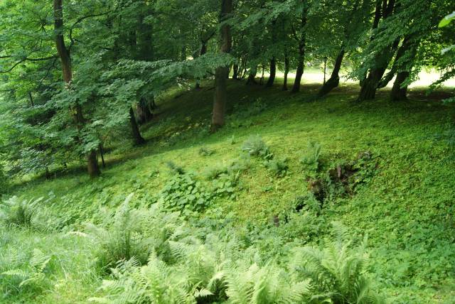 Źródliskowe Zbocza